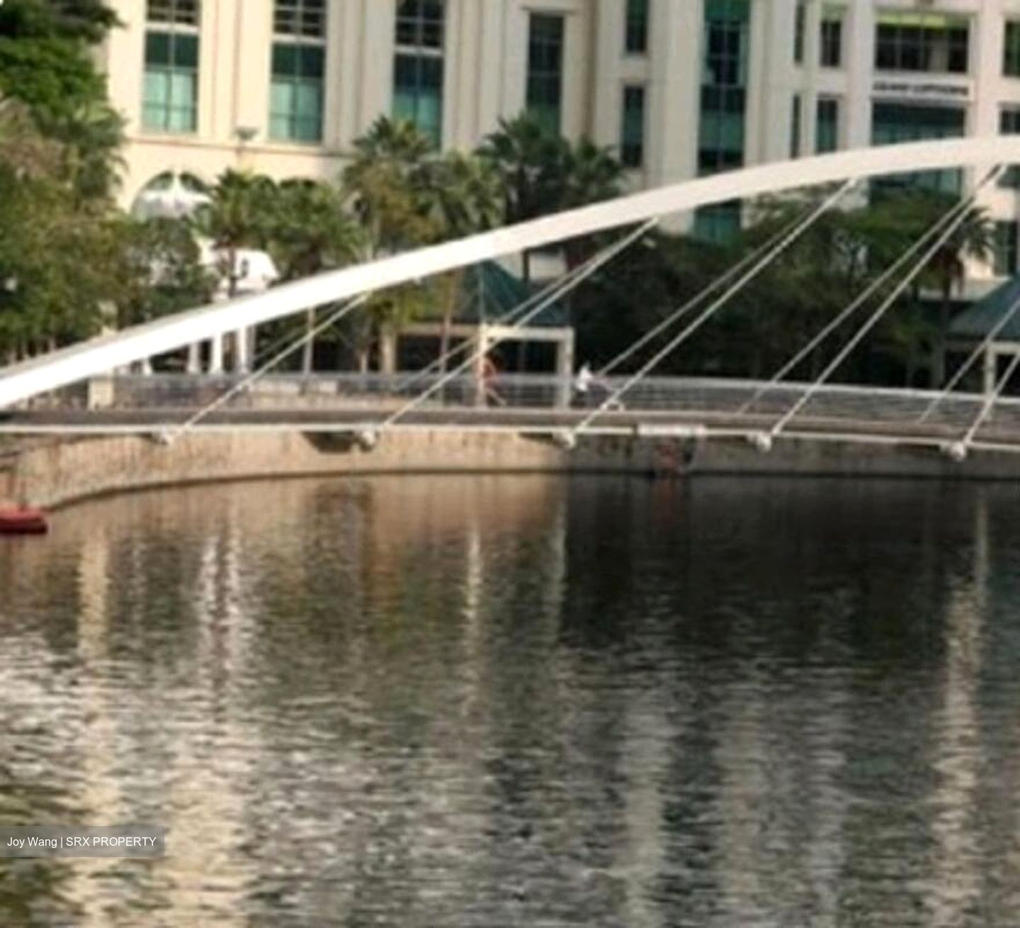 Zion Road (D3), Condominium #455094381